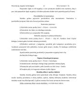 Prezentacijų rengimo technologijos 11 puslapis