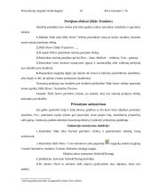 Prezentacijų rengimo technologijos 13 puslapis