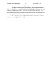 Prezentacijų rengimo technologijos 16 puslapis