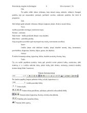 Prezentacijų rengimo technologijos 5 puslapis