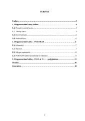 Programavimo kalbos 2 puslapis