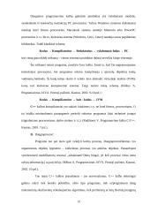 Programavimo kalbos 13 puslapis