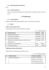 Programinės įrangos specifikavimas 12 puslapis