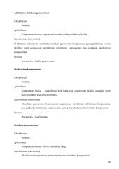 Programinės įrangos specifikavimas 17 puslapis