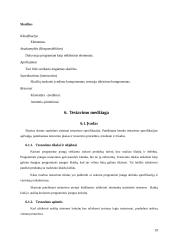 Programinės įrangos specifikavimas 18 puslapis