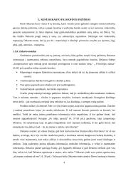 R. Dekarto ir B. Spinozos filosofinės pažiūros 4 puslapis