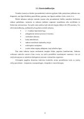 Radikulopatija 8 puslapis