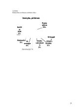 Rapsų spaudimo technologijos diegimo projektas 18 puslapis