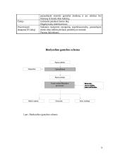 Rapsų spaudimo technologijos diegimo projektas 8 puslapis