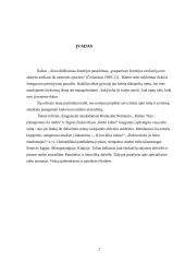 Rašto ir abėcėlės raida  2 puslapis