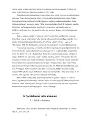 Rašto ir abėcėlės raida  13 puslapis