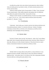 Rašto ir abėcėlės raida  14 puslapis