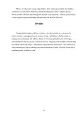 Rašto ir abėcėlės raida  15 puslapis