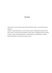 Reabilitacijos principai, priemonės 11 puslapis