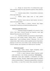 Viskas apie Reformaciją 4 puslapis