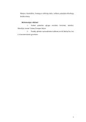 Viskas apie Reformaciją 5 puslapis