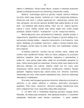 Renė Dekartas (referatas) 10 puslapis