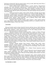 Renesanso istorija ir ypatumai 4 puslapis