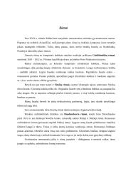 Renesansas Lietuvoje su nuotraukomis 2 puslapis