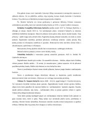 Renesansas Lietuvoje su nuotraukomis 4 puslapis