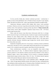 Renesansas Lietuvoje su nuotraukomis 7 puslapis