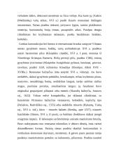 Renesanso architektūra Lietuvoje 4 puslapis