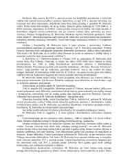 Renesanso atsiradimo ir plitimo Lietuvoje ypatumai 4 puslapis