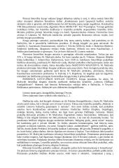 Renesanso atsiradimo ir plitimo Lietuvoje ypatumai 7 puslapis