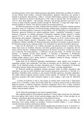 Renesanso atsiradimo ir plitimo Lietuvoje ypatumai 10 puslapis