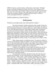 Vestuvių scenarijus 14 puslapis