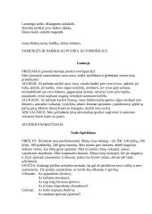 Vestuvių scenarijus 6 puslapis