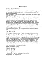 Vestuvių scenarijus 10 puslapis