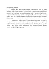 Riteris viduramžiais 11 puslapis