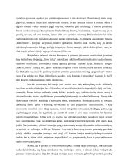 Riteris viduramžiais 3 puslapis