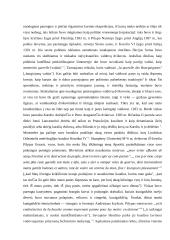 Riteris viduramžiais 8 puslapis