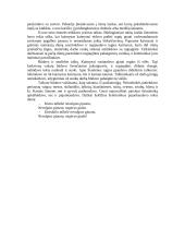 Rugiapjūtė 4 puslapis