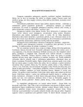Rugiapjūtė 5 puslapis