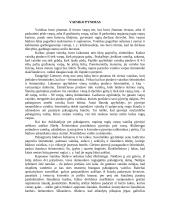 Rugiapjūtė 8 puslapis