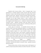 Rūkymas ir jo įtaka kraujotakos sistemai 2 puslapis