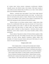 Rūkymas ir jo įtaka kraujotakos sistemai 3 puslapis