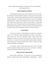 Rūkymas ir jo įtaka kraujotakos sistemai 4 puslapis