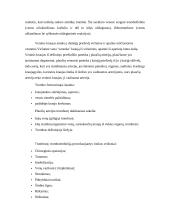 Rūkymas ir jo įtaka kraujotakos sistemai 5 puslapis