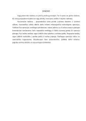 Sagų prisiuvimo mašinos 3 puslapis