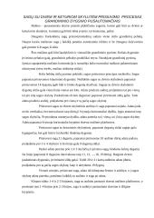 Sagų prisiuvimo mašinos 4 puslapis