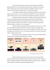 Sagų prisiuvimo mašinos 7 puslapis