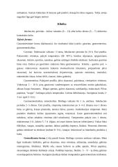 Salmoneliozė 3 puslapis