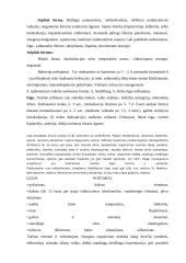 Salmoneliozė 4 puslapis