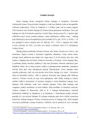 Sapiegų giminės kultūrinis ir materialusis paveldas 2 puslapis