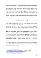 Sapiegų giminės kultūrinis ir materialusis paveldas 11 puslapis