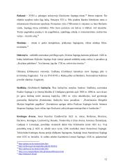 Sapiegų giminės kultūrinis ir materialusis paveldas 12 puslapis